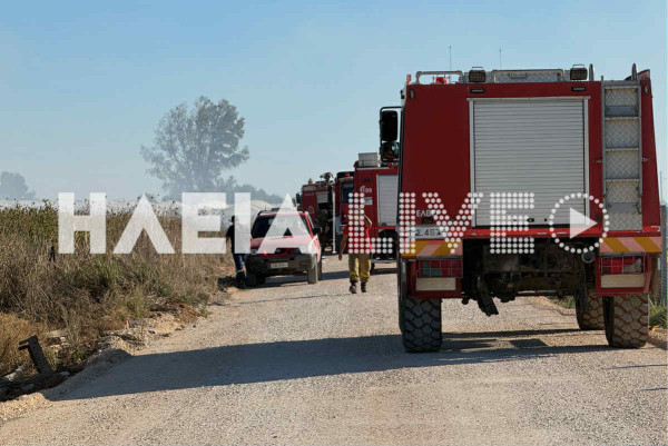 Οριοθετήθηκε η πυρκαγιά στα Κοττέικα Λεχαινών - Έκαψε θερμοκήπια και αμπέλια