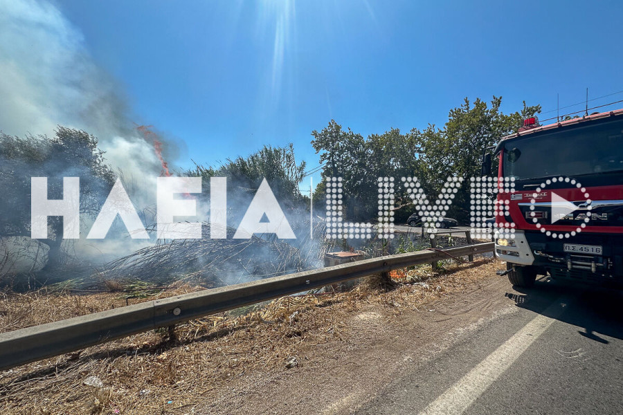 Ηλεία: “Διαβολοβδομάδα” για την Πυροσβεστική - Υψηλές θερμοκρασίες, θυελλώδεις νοτιάδες και σκόνη σε εκρηκτικό κοκτέιλ