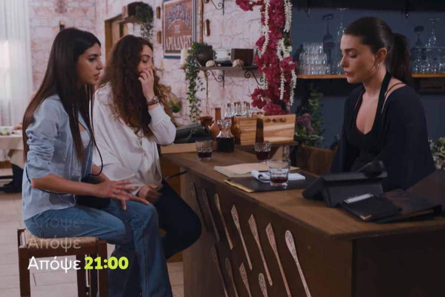 Η γη της ελιάς: Διλήμματα και αποκαλύψεις