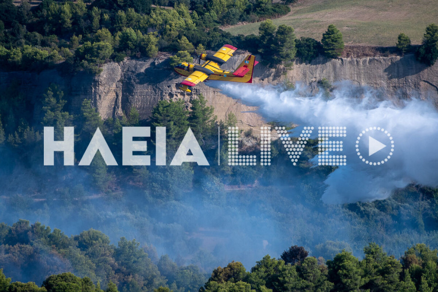 Ηλεία: Πύρινη δοκιμασία - Καμένη γη στο πρώτο φως της ημέρας και φόβος για αναζωπυρώσεις (photos &amp; video)
