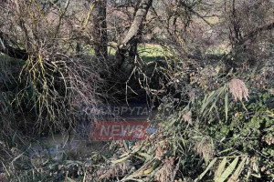 Καλάβρυτα: Κίνδυνος στον Βουραϊκό - Φραγμένη η κοίτη από δέντρα και φερτά υλικά
