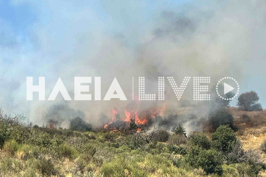 Σπαρτουλιά Λασιώνος: Οριοθετήθηκε η πυρκαγιά στις πλαγιές του Ερυμάνθου