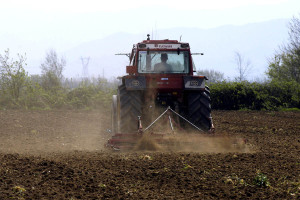 Βασική Ενίσχυση αγροτών: Εντός Νοεμβρίου η πληρωμή των 600 εκατ. ευρώ