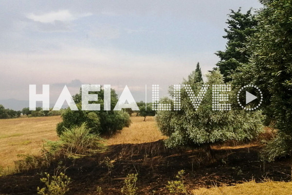 Ηλεία: Πυρκαγιές από κεραυνούς σε Κρυονέρι Αμαλιάδας και Αετοράχη