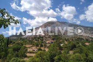 Δασαρχείο Πύργου: Ολοκληρώθηκε η διαχειριστική μελέτη για το δασικό σύμπλεγμα Λαμπείας - Αστρά - Κρυόβρυσης