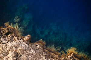 Τέσσερα μαύρα «αυγά» σε βάθος 6.200 μέτρων στον Ειρηνικό έκρυβαν ένα ιδιαίτερο πλάσμα