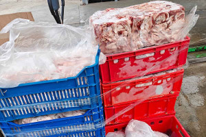 Έντεκα τόνοι ακατάλληλα κρέατα κατασχέθηκαν από την περιφέρεια Αττικής σε ένα μήνα