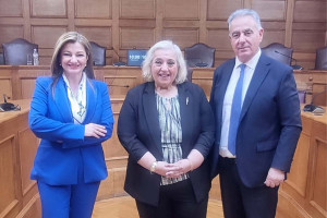 Εισηγήτρια της Νέας Δημοκρατίας η Δ. Αυγερινοπούλου στην συνεδρίαση της Επιτροπής Εθνικής Άμυνας και Εξωτερικών Υποθέσεων