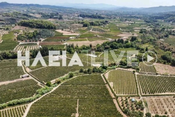 «Ιερές εκτάσεις»: Μετά τις ιδιοκτησίες τους χάνουν και τις επιδοτήσεις