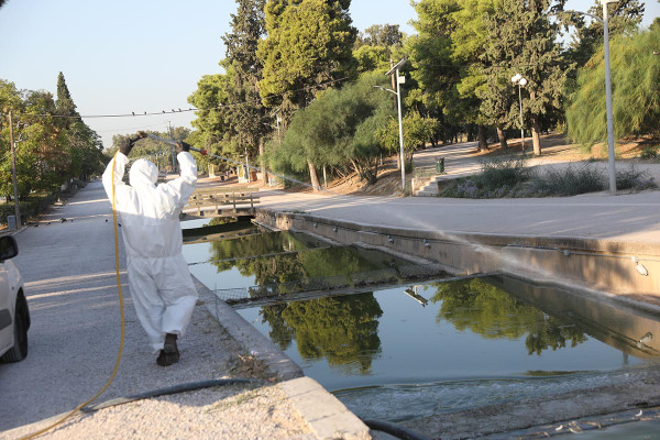 Μαγιορκίνης για ιό Δυτικού Νείλου: «Δεν φταίνε μόνο τα κουνούπια»