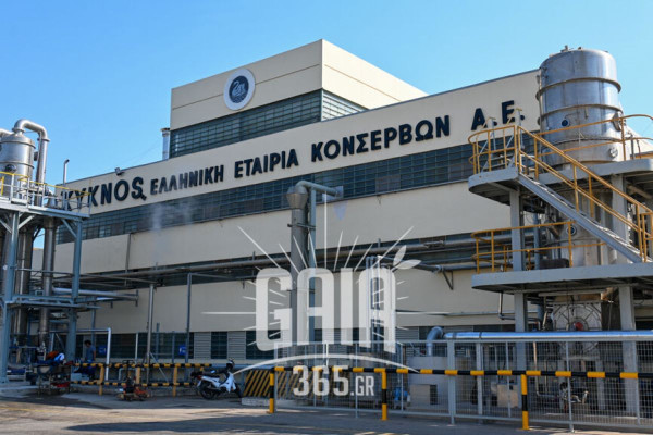 Αχ. Αγγελόπουλος: Η πιστοποίηση του Great Place to Work® αποτελεί σημαντική αναγνώριση για την KYKNOS