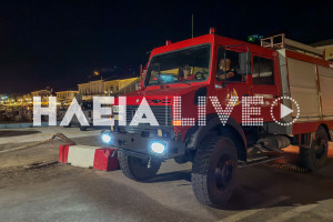 Κατάκολο: Νυχτερινή επιχείρηση διάσωσης για αδέσποτο σκύλο στη θάλασσα