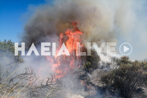 Όλγα Τραγανού: Καλύτερη η εικόνα της πυρκαγιάς σε αγροτοδασική έκταση