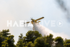 Πυρκαγιά στο Γεράκι Αμαλιάδας: Σε ύφεση με πολλά διάσπαρτα "καντηλάκια" (photos &amp; Video)