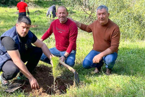 Δημ.Το. Πύργου: Απολογισμός πεπραγμένων για την τριετία της παρούσας διοίκησης