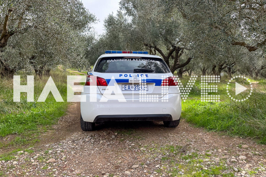 Σκλίβα Πηνείας: 65χρονος συνελήφθη για άσκοπους πυροβολισμούς έξω από το σπίτι 79χρονης