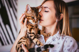 Νέα έρευνα: Οι γάτες μπορούν να ξεχωρίσουν την μυρωδιά του ιδιοκτήτη τους από εκέινη ενός ξένου