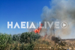 Γαστούνη: Πυρκαγιά σε καλαμιώνες και ξερόχορτα κινητοποίησε την Πυροσβεστική