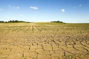Εφιαλτική πρόβλεψη: 450.000 άνθρωποι κινδυνεύουν να πεθάνουν το επόμενο εξάμηνο λόγω El Niño