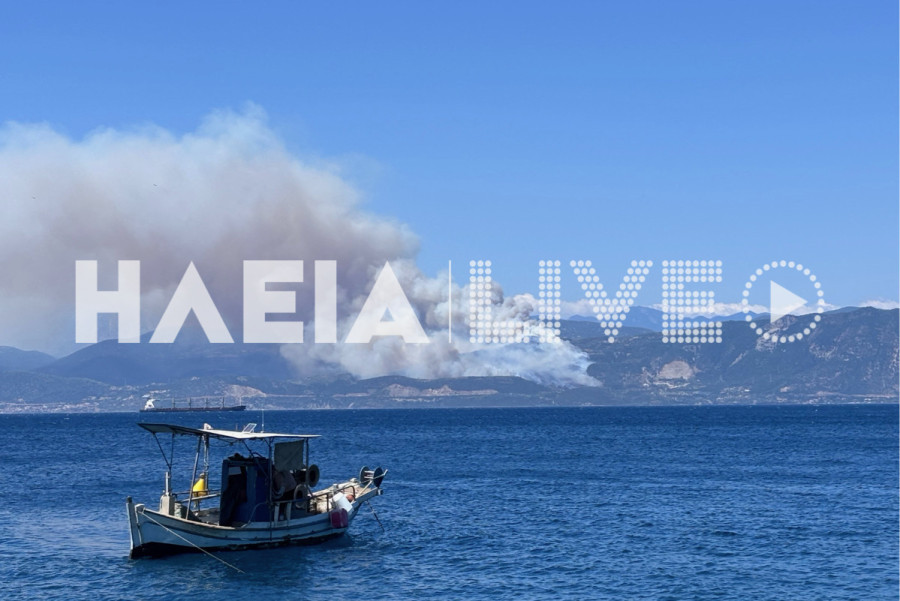 Νέα μεγάλη πυρκαγιά σε δασική έκταση στο Σκάλωμα Φωκίδας - Μήνυμα από 112 για 4 εκκενώσεις οικισμών (upd)