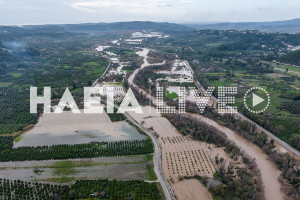Ηλεία: Σε επίπεδο συναγερμού ο ποταμός Αλφειός - Πίσω από τα αναχώματα στα Καλυβάκια - Πλημμύρες στην Αλφειούσα (photos &amp; video)