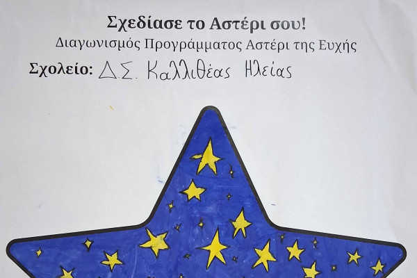 Δημοτικό Σχολείο Καλλιθέας Σημαντική Διάκριση για το «Αστέρι» από το Make a Wish Greece!