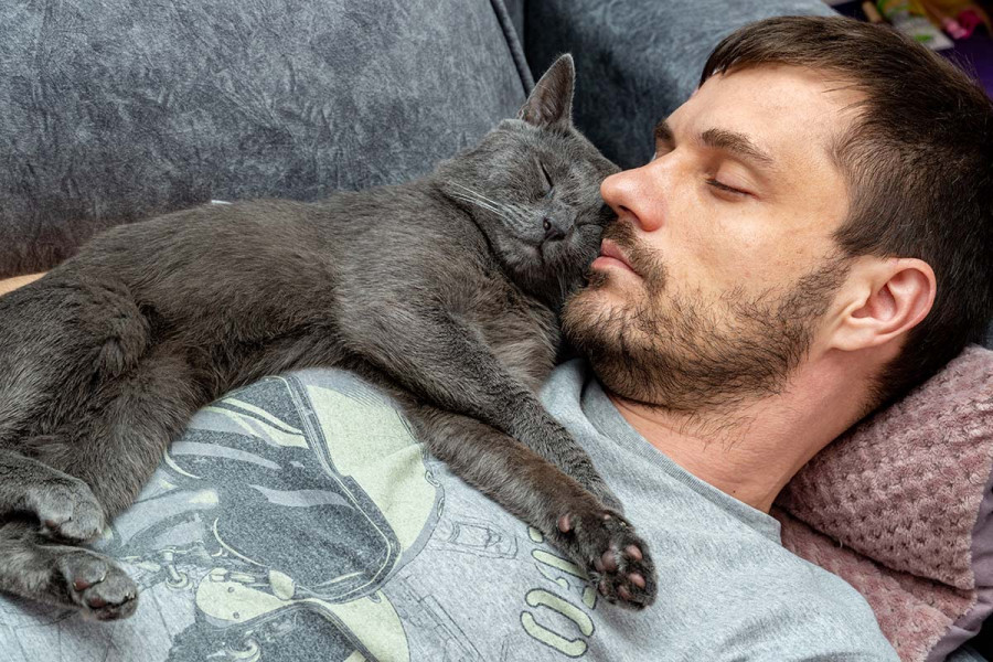 Γιατί αρέσει στις γάτες να κοιμούνται κοντά στο πρόσωπό μας;