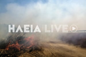 Νέα πυρκαγιά στο Τραγανό Πηνειού, δίπλα στον Ολυμπία Οδό