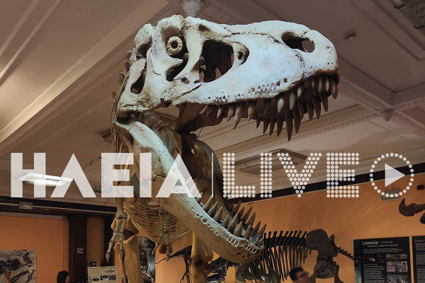 Το σπασμένο πλευρό του μεγαλύτερου T-Rex στον κόσμο έκρυβε ένα μυστικό 66 εκατομμυρίων ετών