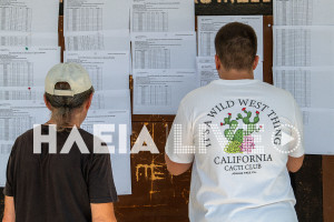 Πανελλαδικές 2025: Ανακοινώθηκαν οι βαθμολογίες των Ειδικών Μαθημάτων
