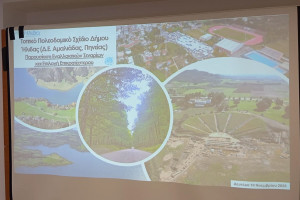 Δήμος Ήλιδας: Η Αμαλιάδα αναδεικνύεται σε διεθνή κόμβο Αθλητισμού και Πολιτισμού - Τι προτείνει η μελέτη Τοπικού Πολεοδομικού Σχεδίου