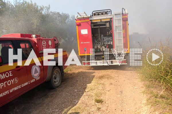 Χανιά: Φωτιά σε αγροτοδασική περιοχή κοντά σε σπίτια – Ήχησε το 112