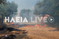 Κάστρο Κυλλήνης: Πυρκαγιά στην Ανάληψη κινητοποίησε την Πυροσβεστική