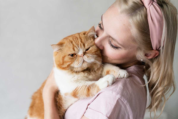 Οι λόγοι που η γάτα σας είναι πιο αγαπησιάρα νωρίς το πρωί