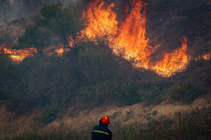 Επίθεση στο συνεργείο του MEGA στη Χαλκιδική: «Μας έδιωξαν κλωτσηδόν, έσπασαν το μικρόφωνο»