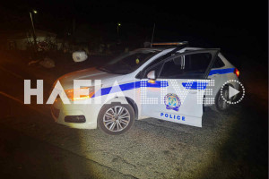 Πύργος: Άλογα έπεσαν πάνω σε αυτοκίνητα στην οδό Αλφειού