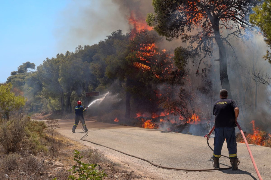 Φωτιά στη Λαυρεωτική: Πάνω από 15.800 στρέμματα η καμένη έκταση
