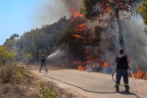 Φωτιά στη Λαυρεωτική: Πάνω από 15.800 στρέμματα η καμένη έκταση