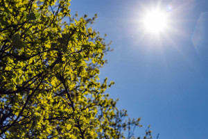 Πώς να προστατευτείτε από τον καύσωνα - Αναλυτικές οδηγίες από το ΕΚΠΑ