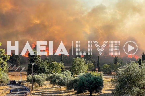 Σε υψηλή επικινδυνότητα η Ηλεία για πυρκαγιά σήμερα