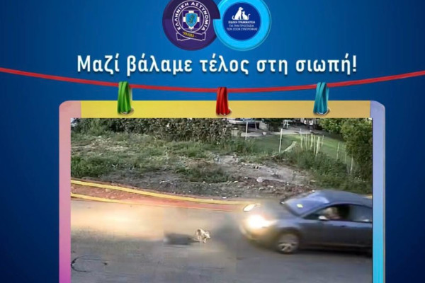 «Η σιωπή προστατεύει τον θύτη, όχι το ζώο» – Η παρέμβαση της Ειδικής Γραμματείας για τη Γαστούνη