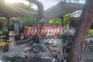 Πάτρα: Αναστάτωση στα Ψηλαλώνια με φορτηγό που έκοψε καλώδιο της ΔΕΗ - Αποκλείστηκαν σημεία από την ΕΛ.ΑΣ