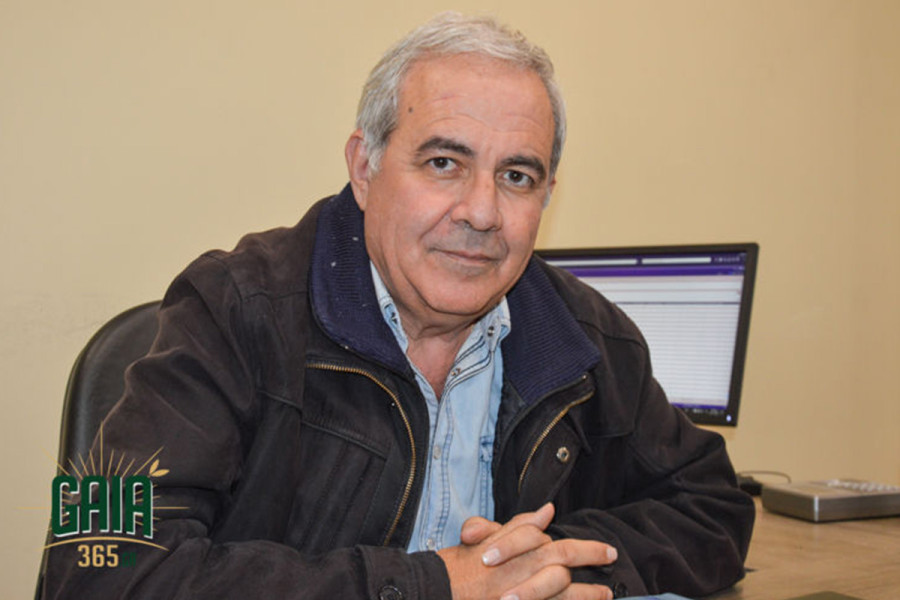 Κραυγή Αγωνίας από την Ομάδα Παραγωγών Αμαλιάδας: Έκκληση για δικαιοσύνη στα Επιχειρησιακά Προγράμματα Ελαιολάδου