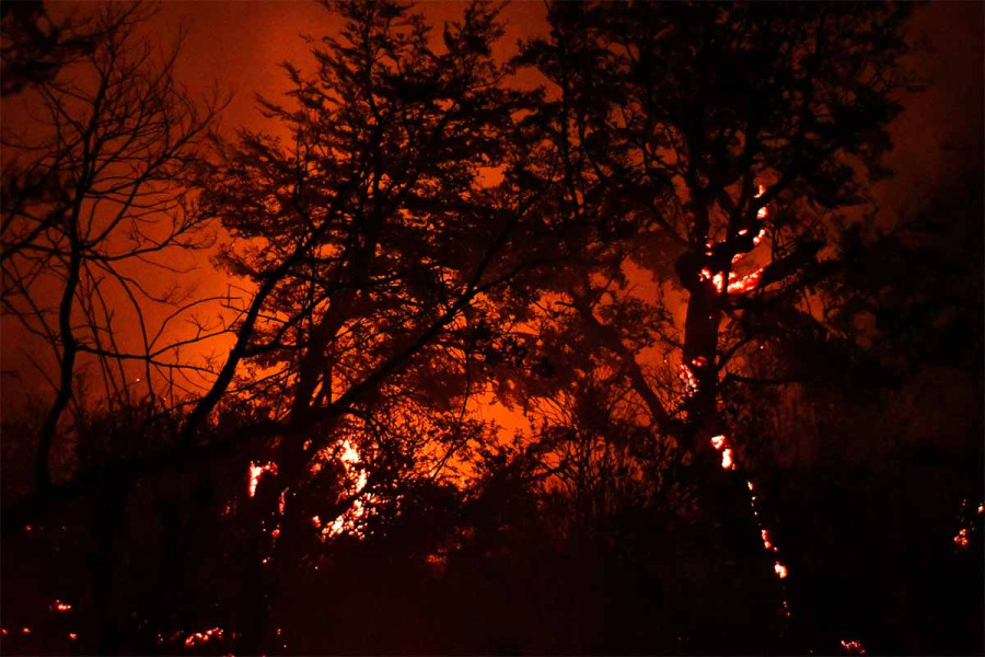 Αργεντινή: Μεγάλες δασικές πυρκαγιές στην Παταγονία – Η κυβέρνηση κηρύσσει κατάσταση έκτακτης ανάγκης
