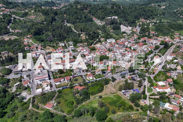 Αρχ. Ολυμπία: Συνεχείς διακοπές ρεύματος - Πάνω από 24 ώρες μπλακ άουτ στο Δρούβα, στο αποκορύφωμα της τουριστικής σεζόν
