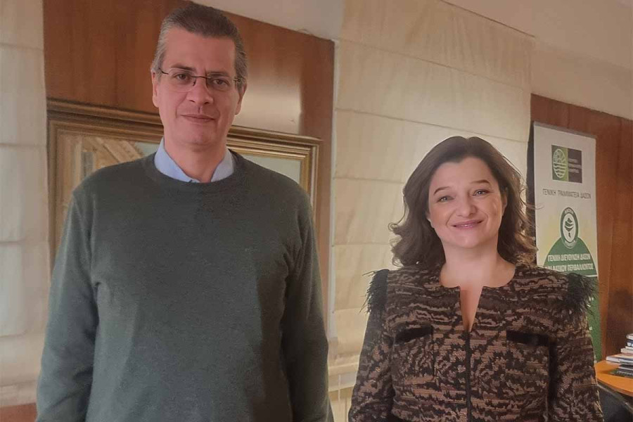 Αυγερινοπούλου: Ξεκινούν οι εργασίες για την αντιμετώπιση της ξήρανσης της Κεφαλληνιακής Ελάτης στο Ελατοδάσος Δίβρης
