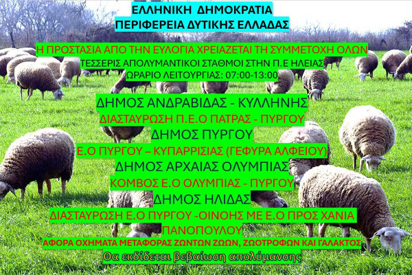 Έναρξη λειτουργίας σταθμών απολύμανσης για την ευλογιά των αιγοπροβάτων στις τρεις Περιφερειακές Ενότητες