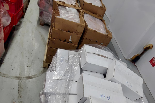 Κατασχέθηκαν 6,2 τόνοι ακατάλληλων κρεάτων στην Αττική, βρέθηκε παράνομο εργοστάσιο στο Ίλιον