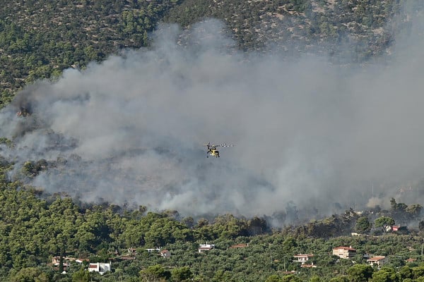 Προφυλακίστηκαν ο δήμαρχος Στυλίδας και δύο ακόμη κατηγορούμενοι για την πυρκαγιά στη Βοιωτία