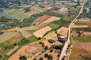ΕΦΑ Ηλείας: Πράσινες Πολιτιστικές Διαδρομές 2025 στην Ήλιδα
